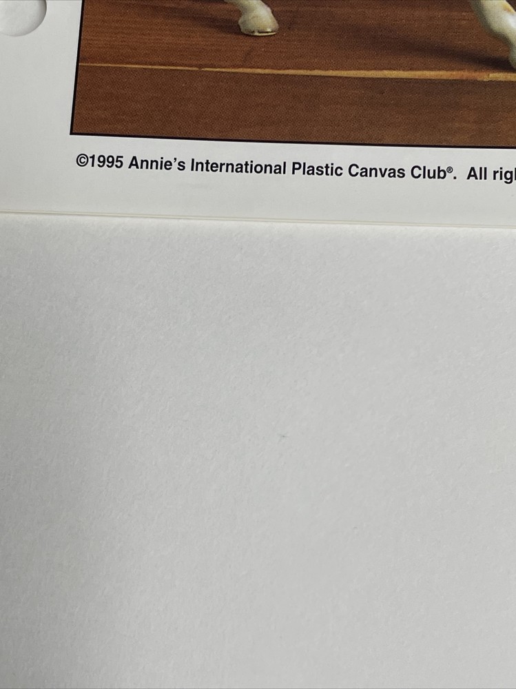 Annie's Attic Sheriff Jack Picture Frame Plastic Canvas Pattern