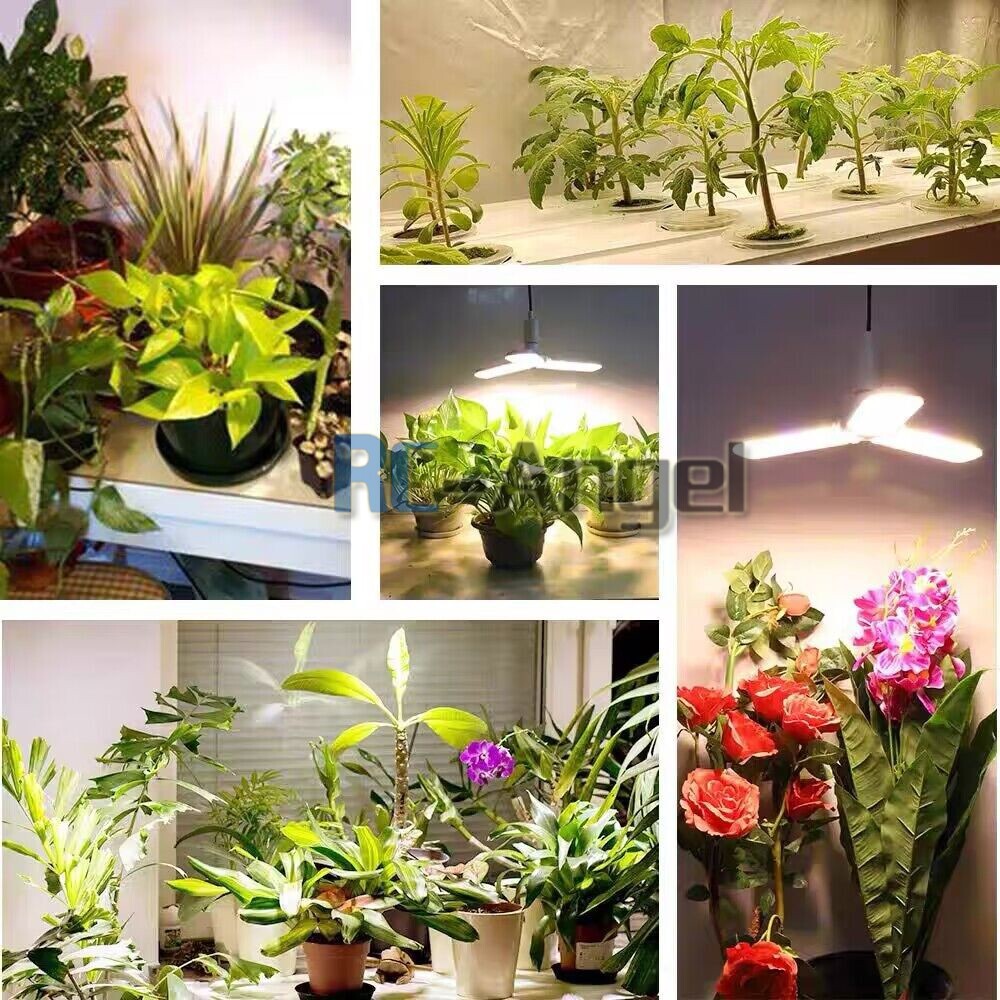 48"x48"x80" Grow Tent Kit w/LED Full Spectrum Grow Light +Ventilation Inline Fan