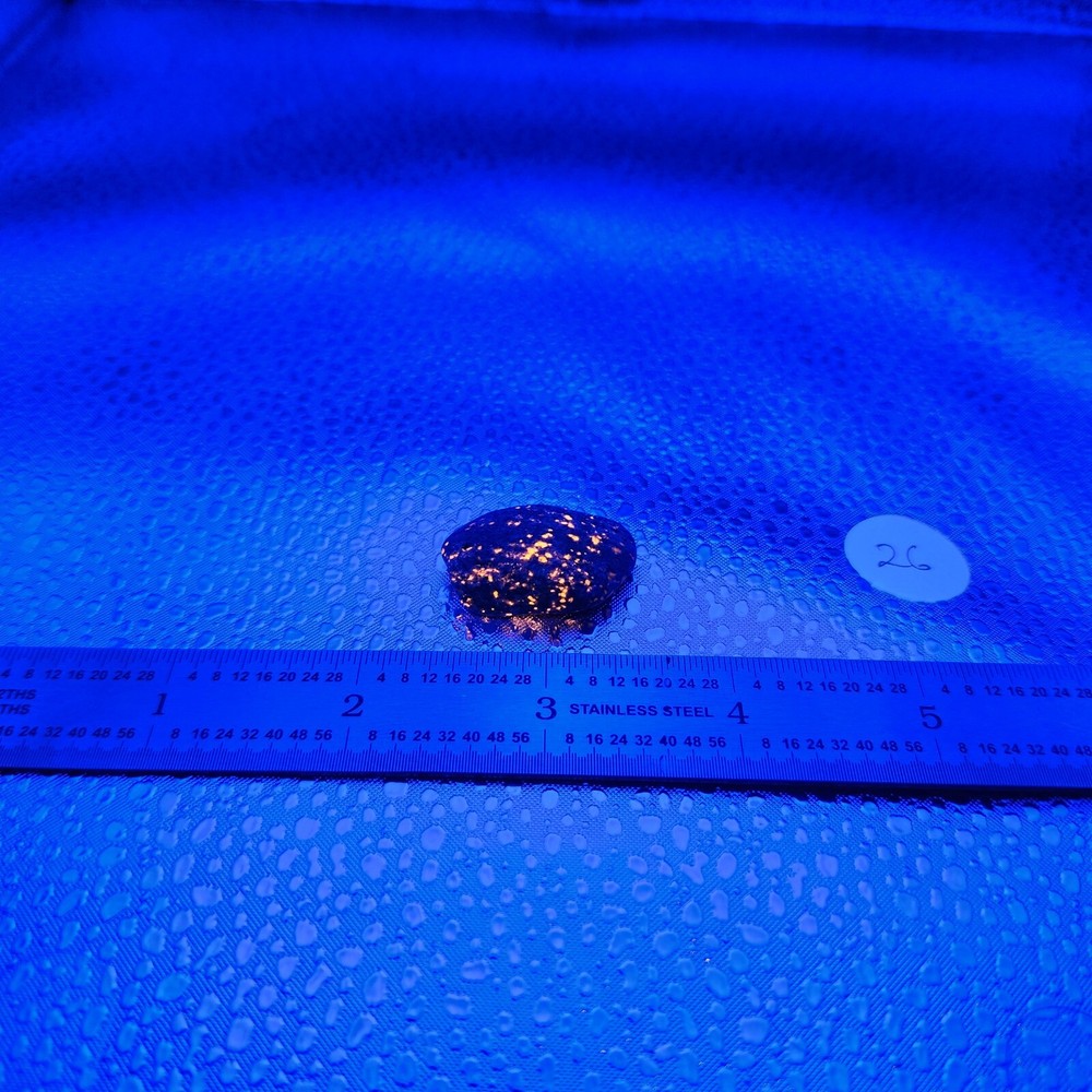 Yooperlite Stone Found Keweenaw Peninsula  Lake Superior