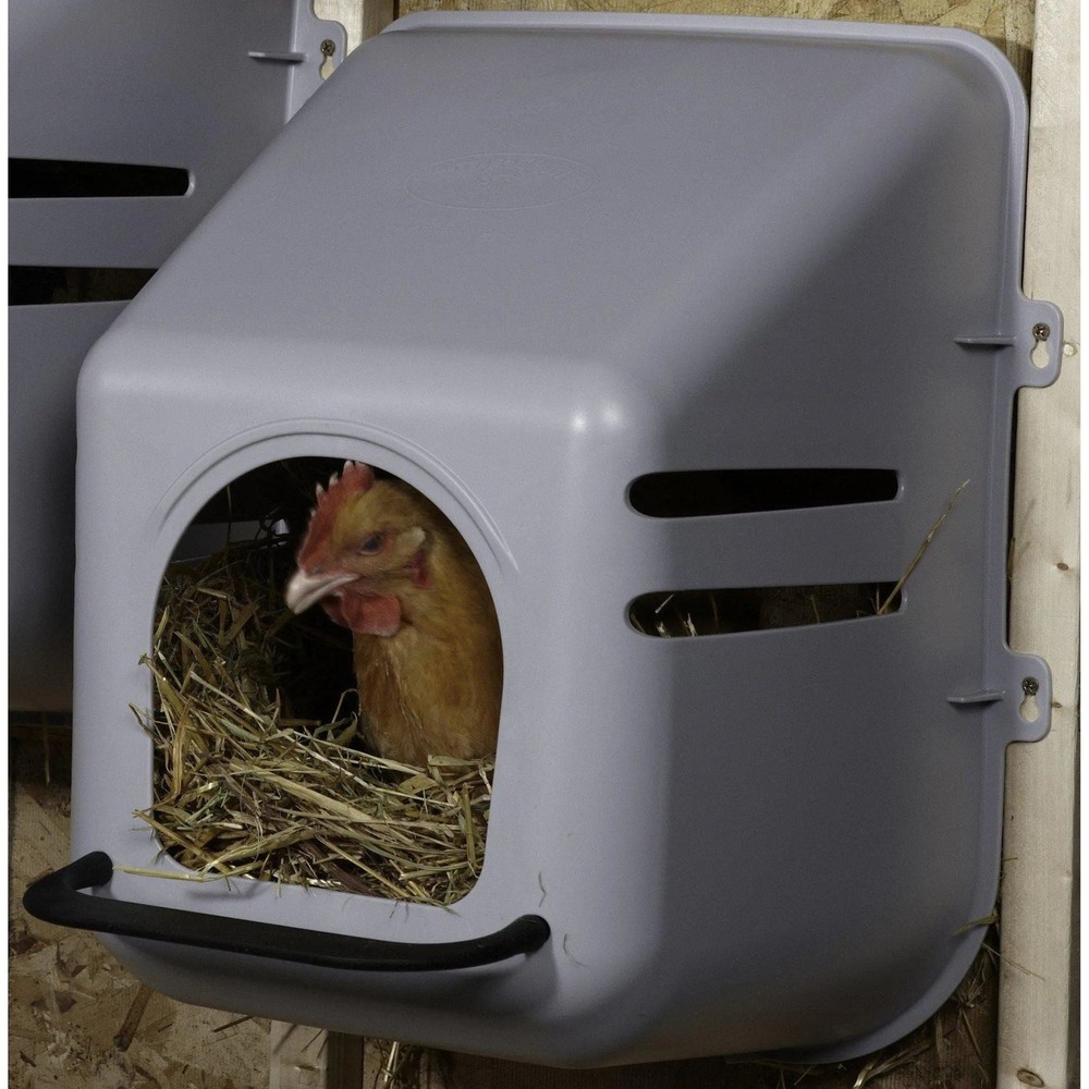 Little Giant Large Nesting Box Wall Mount Plastic Nesting Box
