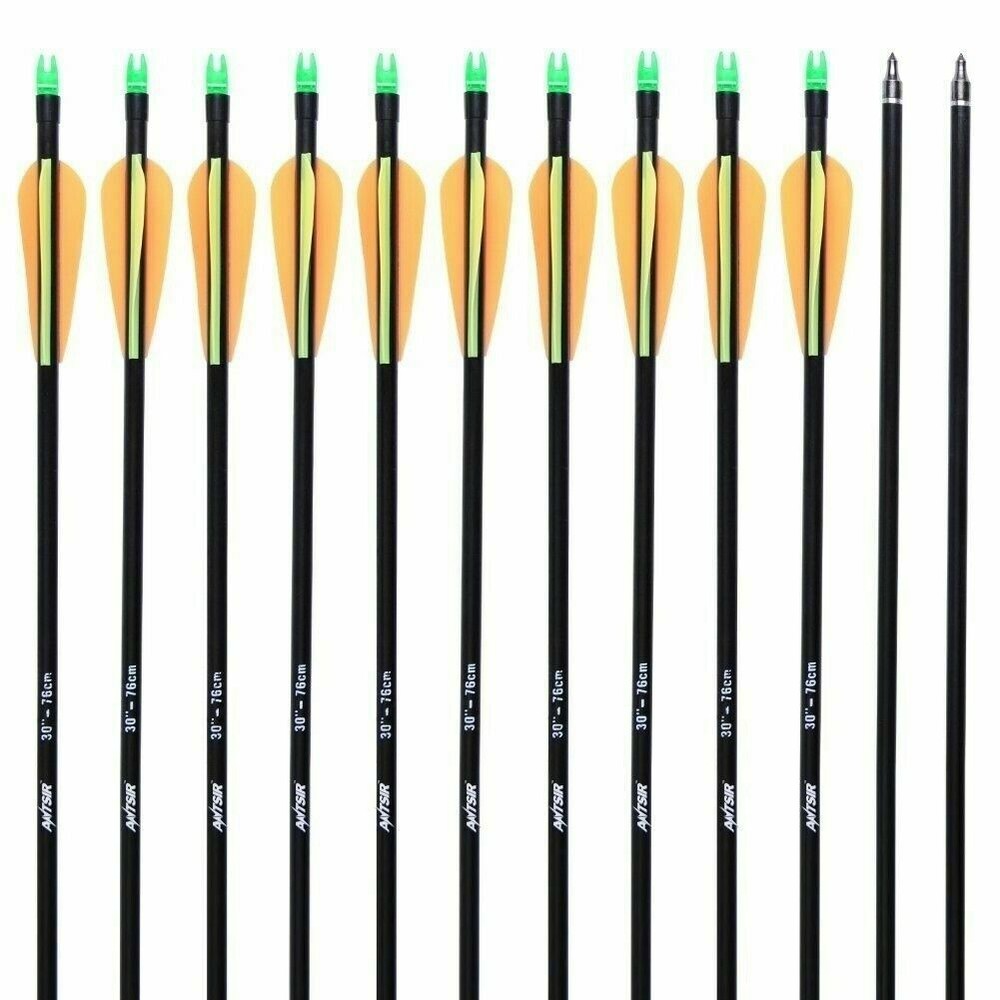 30" inch Fiberglass Practice Target Archery Arrows with Replaceable Arrowheads