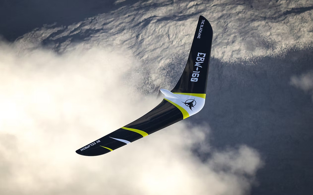 The Ravens Forge Eclipson UAV Blackwing 3D Printed PLA RC Airplane Kit