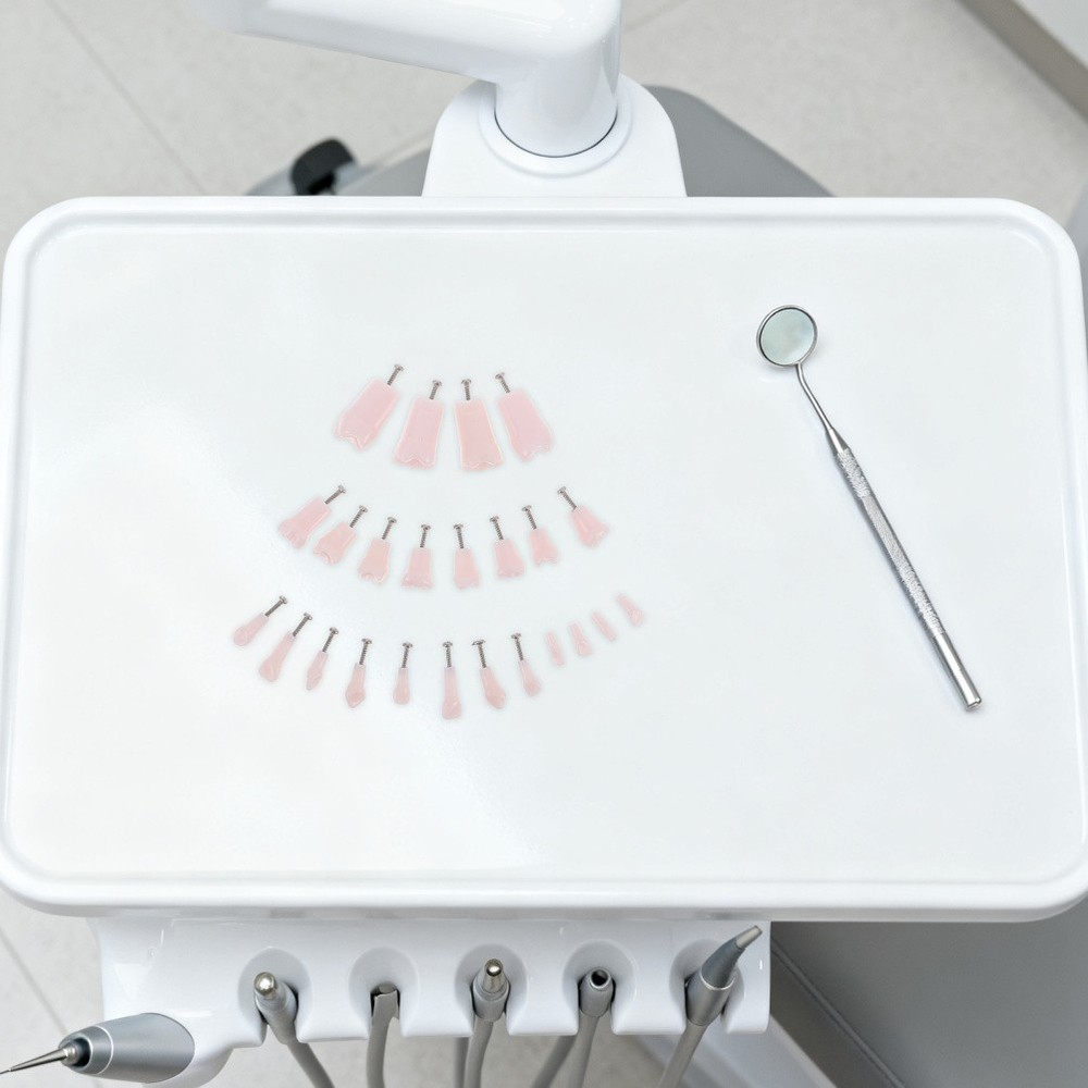 24 Pcs Dental Practice Teeth Typodont Teaching Model Removable Tooth Set