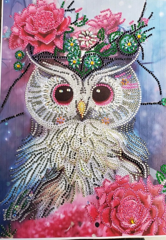 Completed diamond art colorful owl.