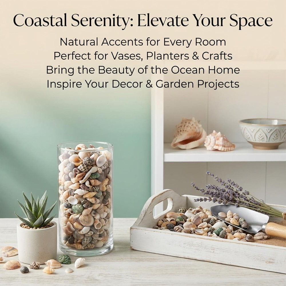 MAQIHAN Tiny Seashells for Crafts - Small Sea Shells Mixed Ocean Beach Shells Bu