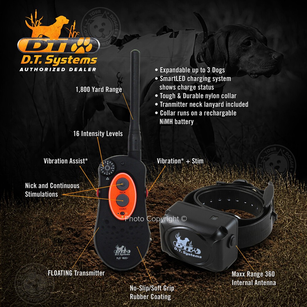 DT Systems H2O 1820 PLUS Expandable Dog Remote Trainer