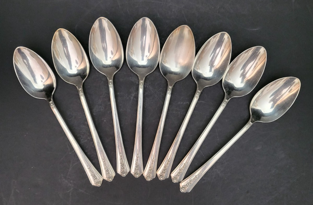 Holmes & Edwards Inlaid I|S Spring Garden -57 piece Silverware Set Naken's Chest
