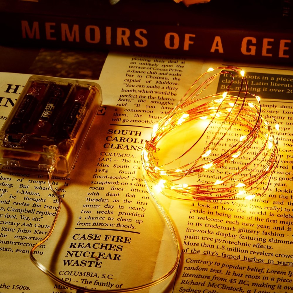 1 Pack 16.4ft Battery Operated String Lights with Timer, Warm White with Sync...