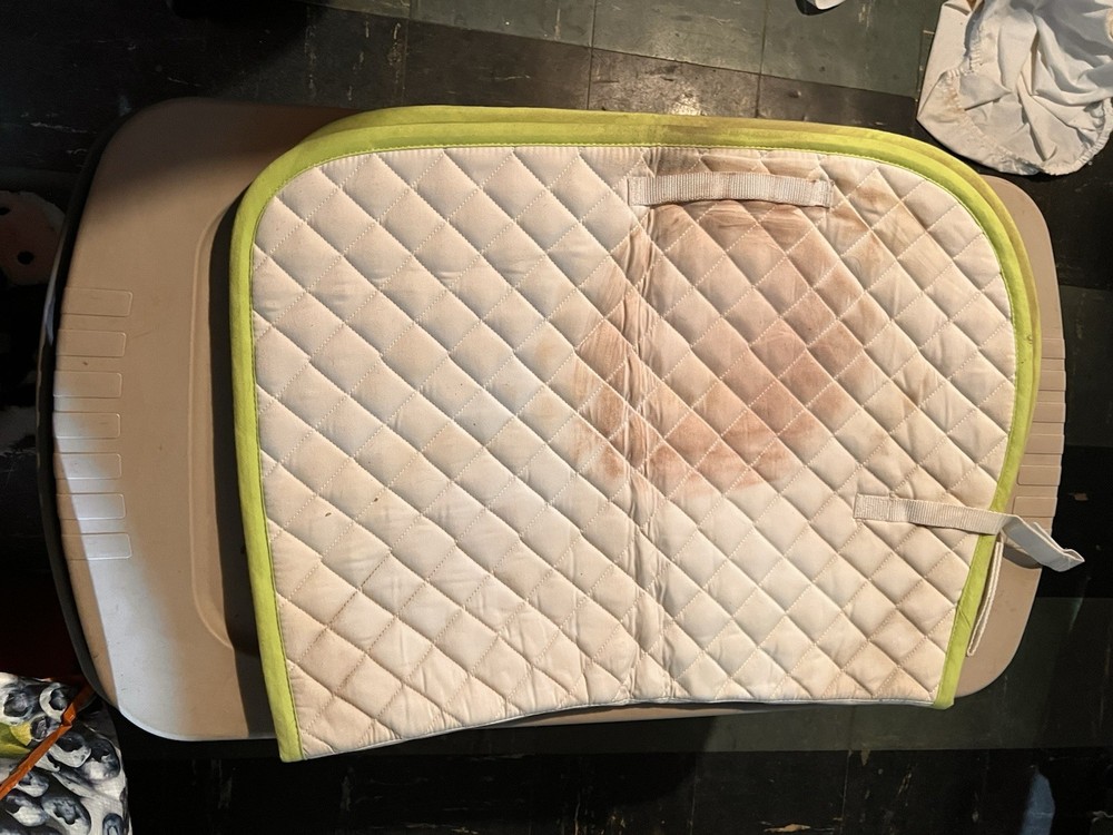 Saddle Pad