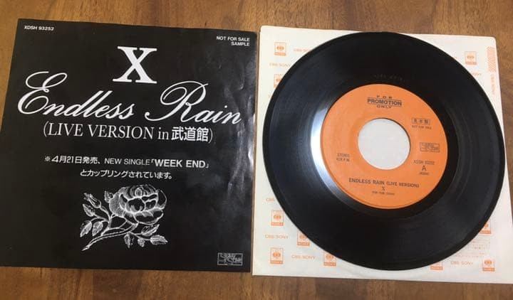 X japan Endless Rain analog record