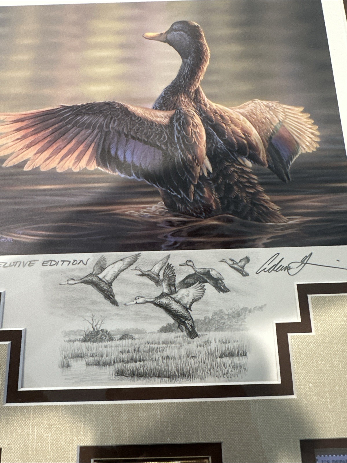 2000 - Federal Duck Stamp Print **ADAM GRIMM Exclusive Edition 42/350