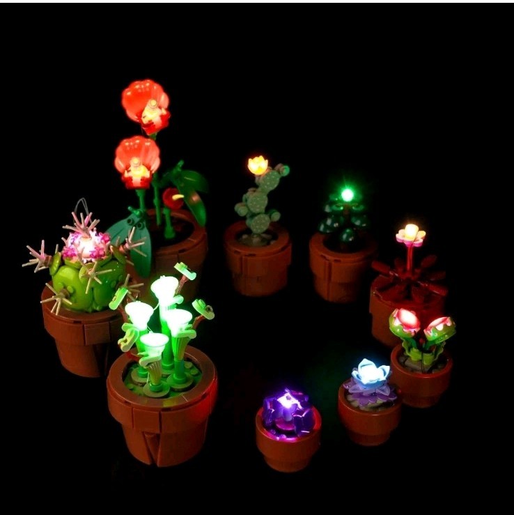 LED Light Kit for Lego 10329 Tiny Plants Botanicals Cactus Decor Lighting