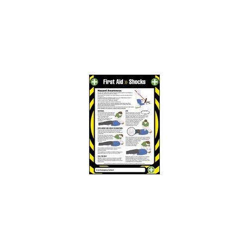 RT10129 Poster 1ST Laminated Shock Absorber Aid 55905