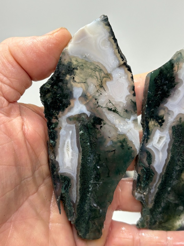Semi-translucent Moss Agate Slabs Cabbing Lapidary Combo Ship Avail