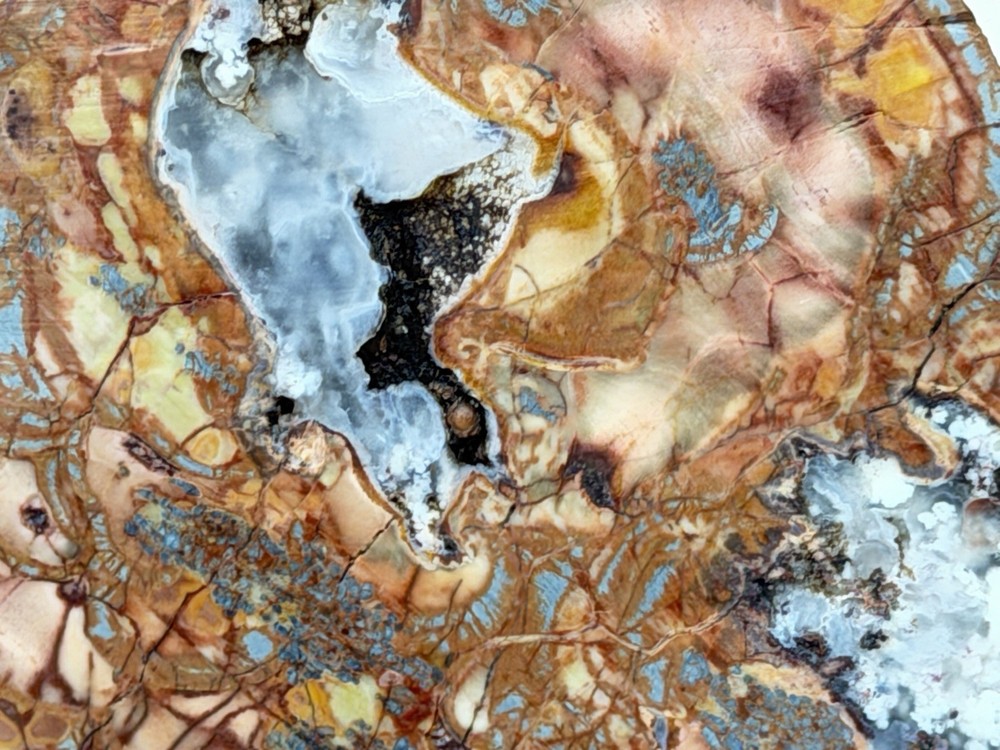 Cold Mountain Jasper Half Nodule, Lot#203