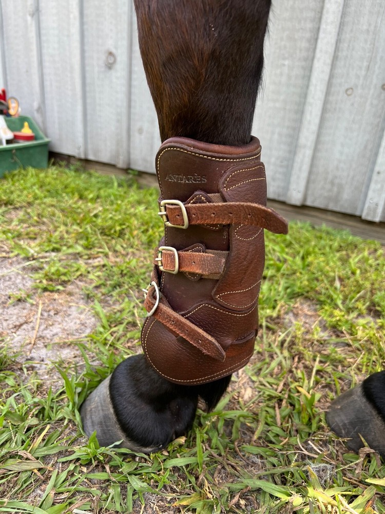 Antares Open Front Leather Equitation Boots