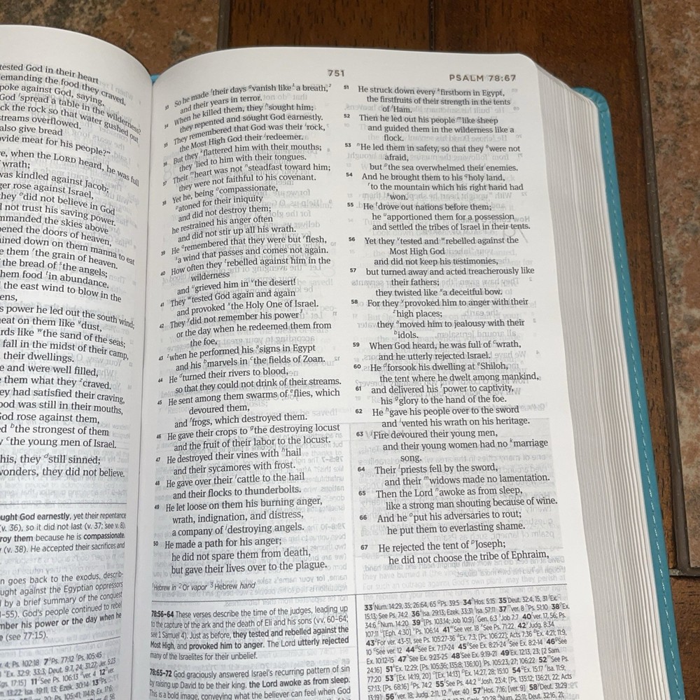 ESV Student Study Bible Imitations Leather Good