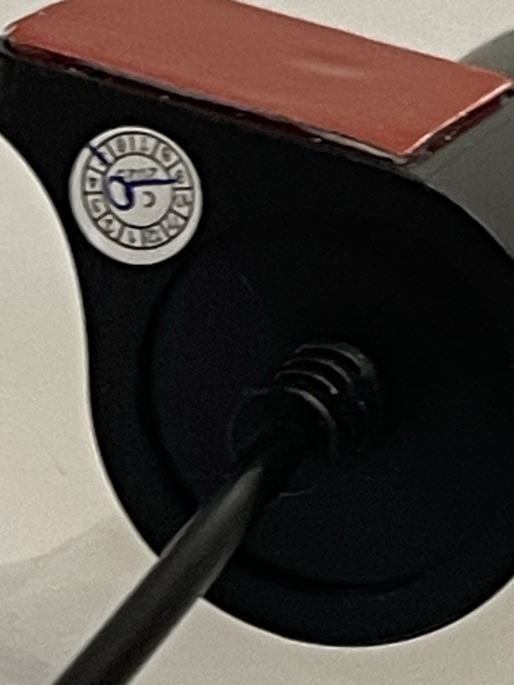 rear-facing dash camera,