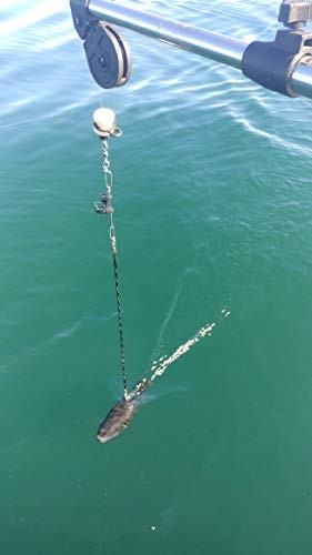 Downrigger Snubber Twin Pack, Black