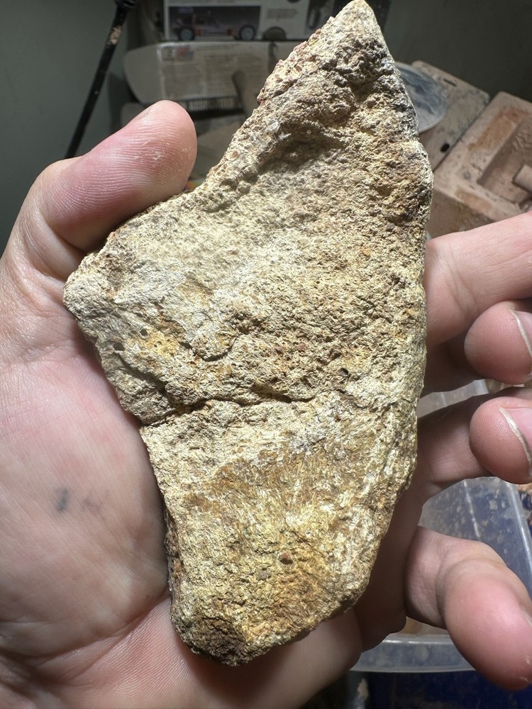 Dinosaur bone rough **hxtled end cut.