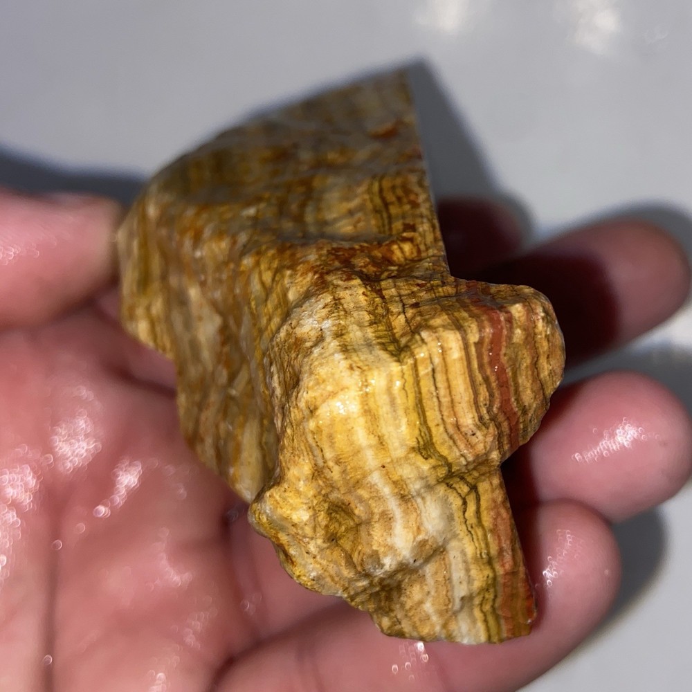 Natural Red Onyx Rough Lapidary Stone 7.59 Oz