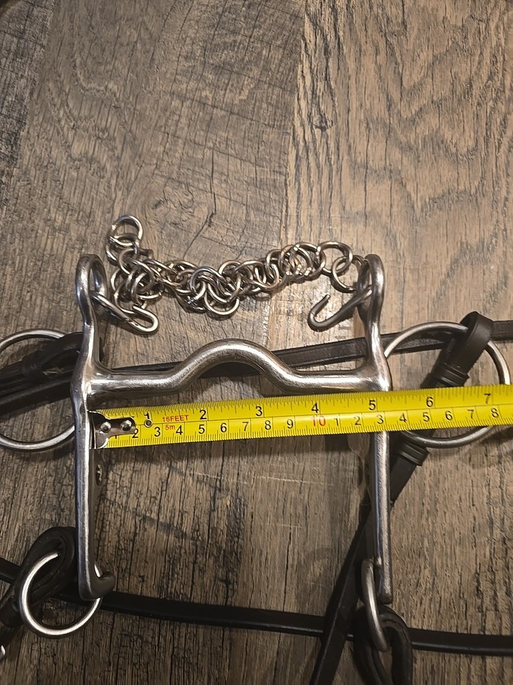 Horse Bit With Reins