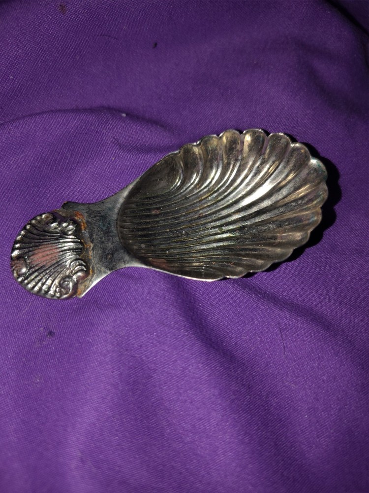 1970 Tea Caddy Spoon