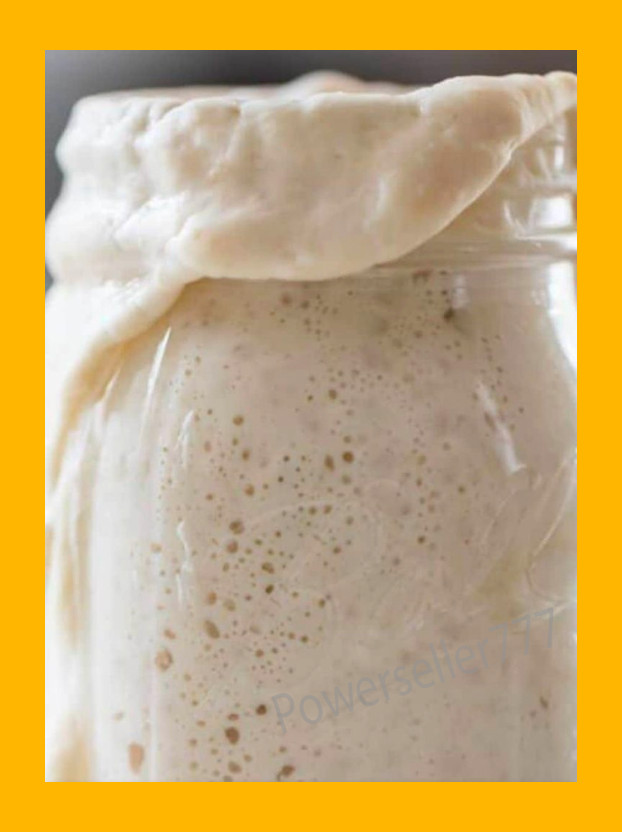 ORGANIC Sourdough Bread Starter San Francisco Dehydrated 200yrs Old BEST SELLER!