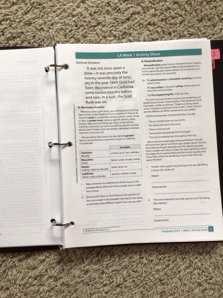 Bookshark Language Arts Instructor’s Guide Level E And Grammar Ace IG