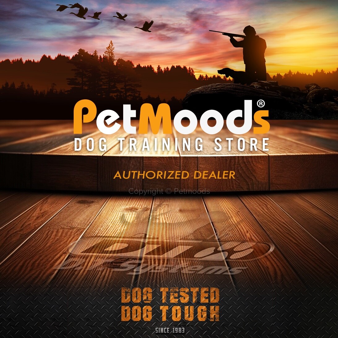 DT Systems Super Pro Dummy Launcher Hand Held Dog Training Kit Orange