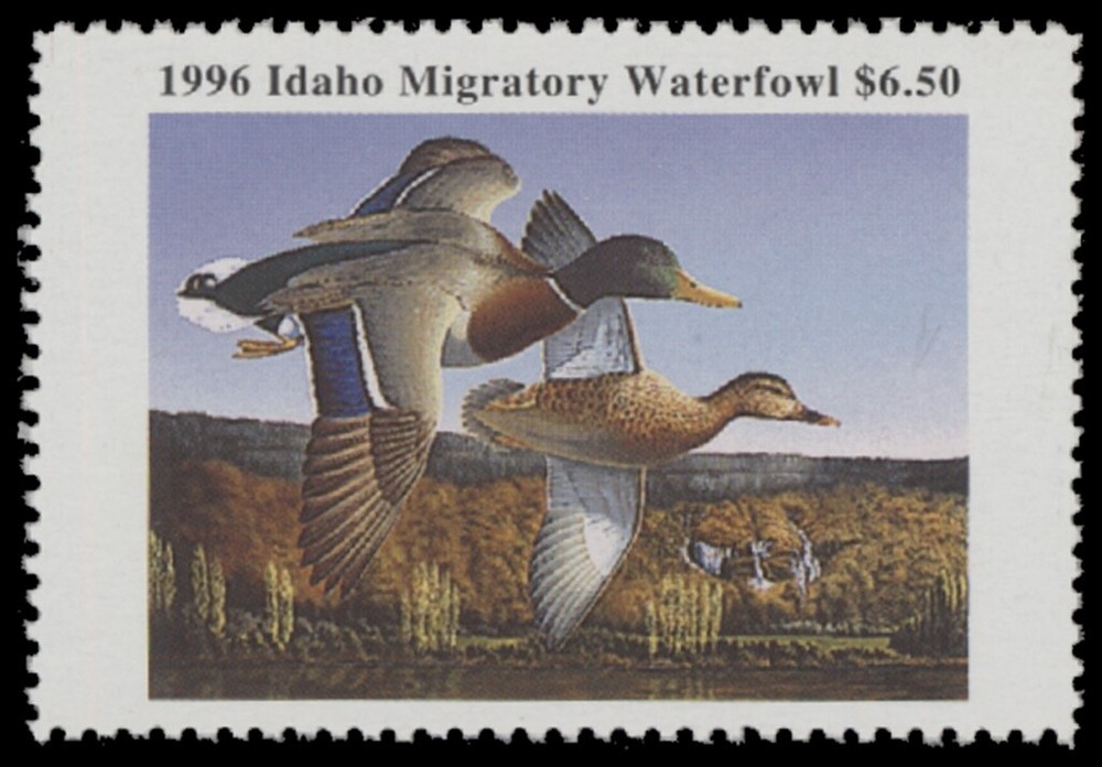 1996  Idaho State Duck Stamp Mint Never Hinged. Original Gum