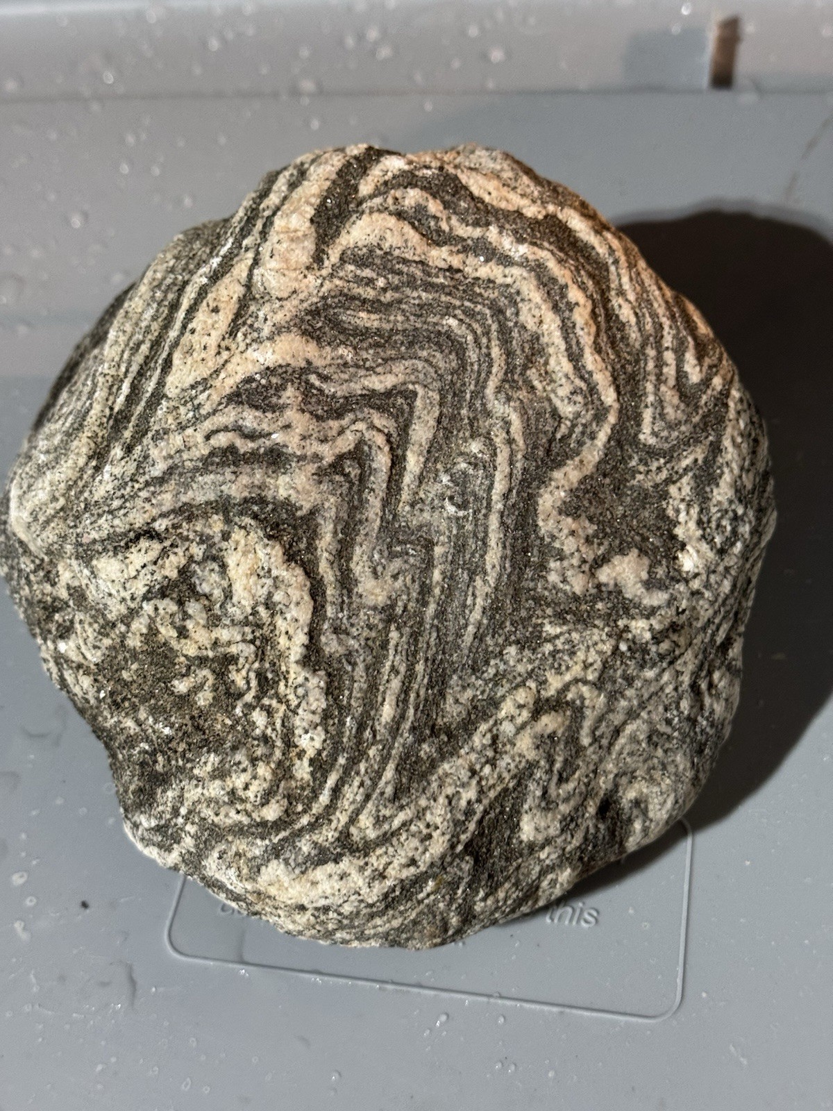 Rocks For Sale EXCELLENT MOJAVE GNEISS