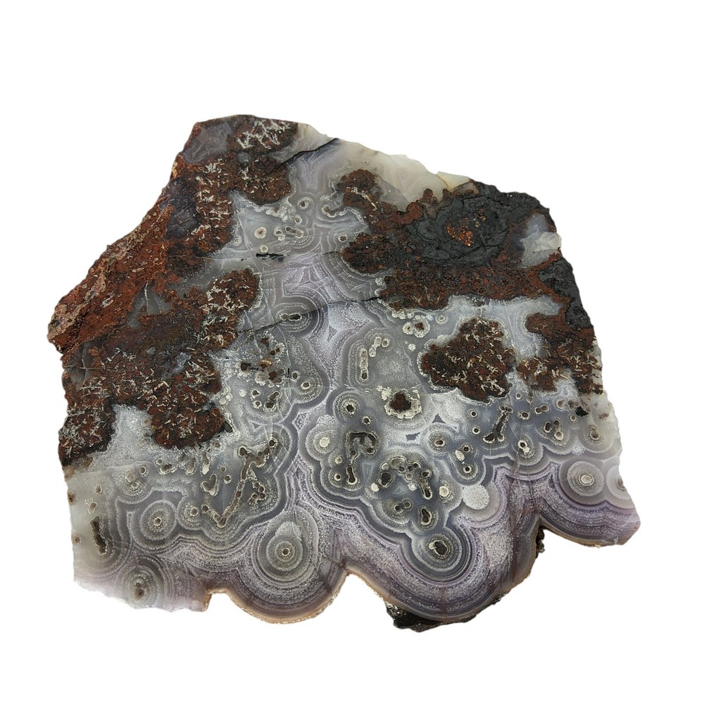 Laguna Agate, large slab, cabbing rough, #R-6957