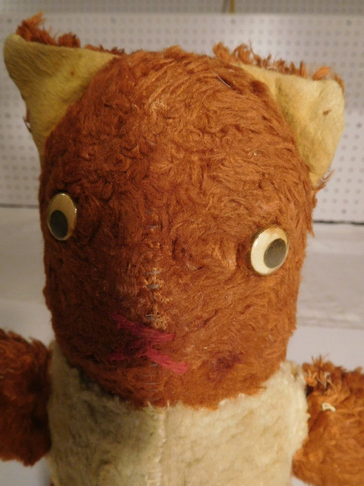 ~ Creepy Paranormal Mutant Teddy Bear ~