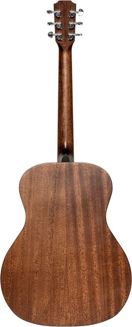Acoustic auditorium guitar with solid top, Dovern series