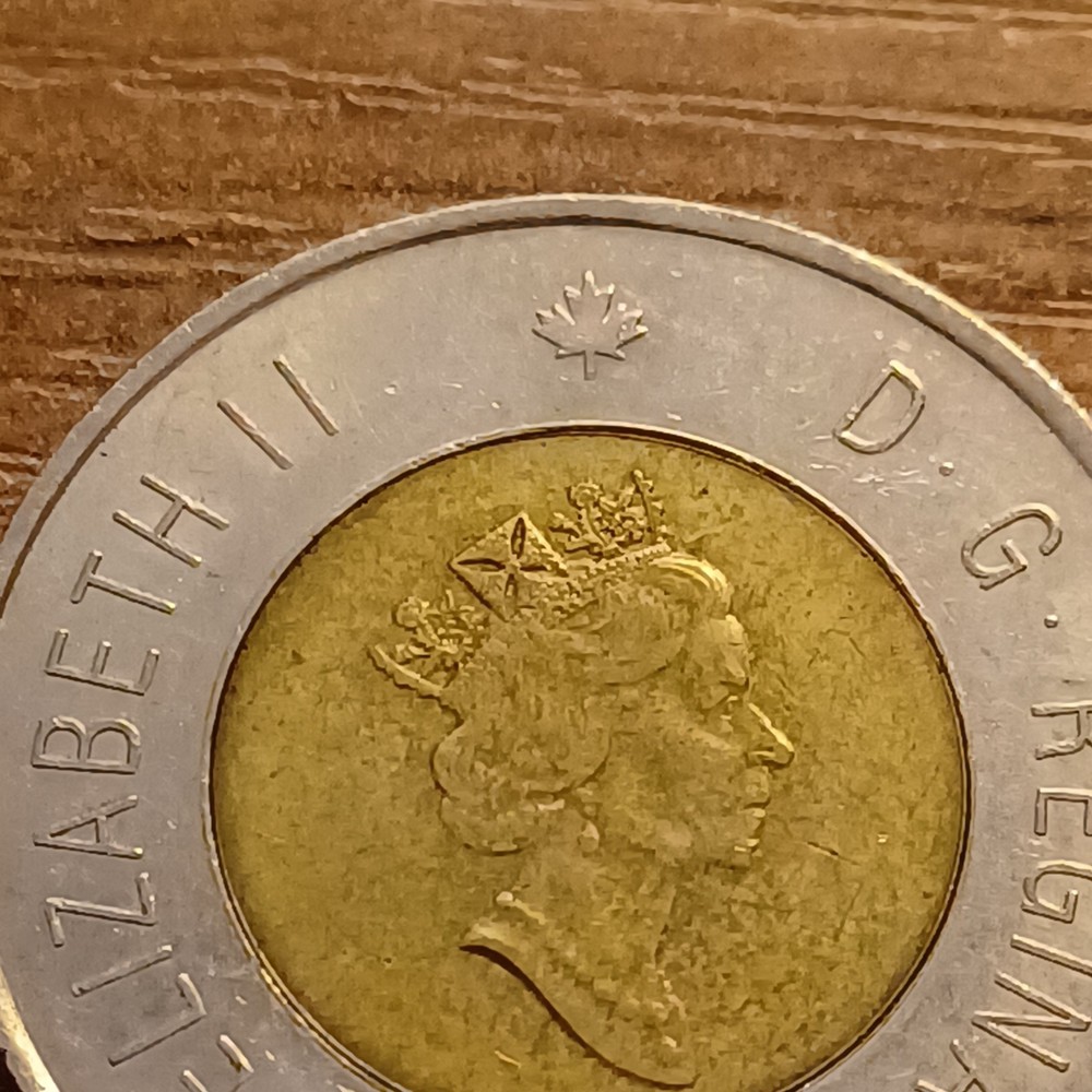 CANADA ~ 1996 ~ Polar Bear 2 Dollar ~ AU
