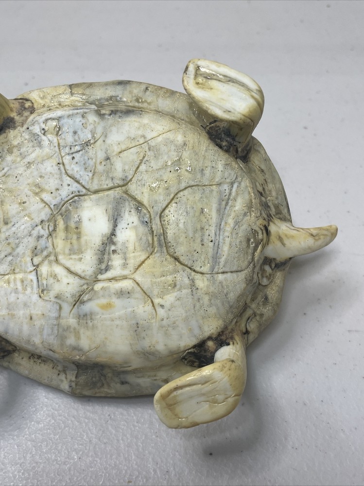 Handmade Pottery Turtle Figure Marbled Color