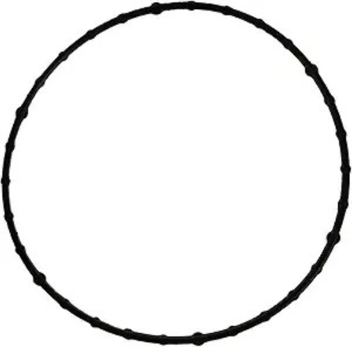 61699 Throttle Body Gasket