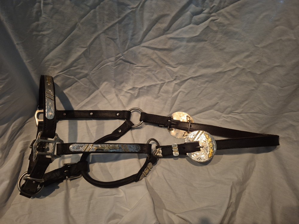 Western Full Size Show Halter