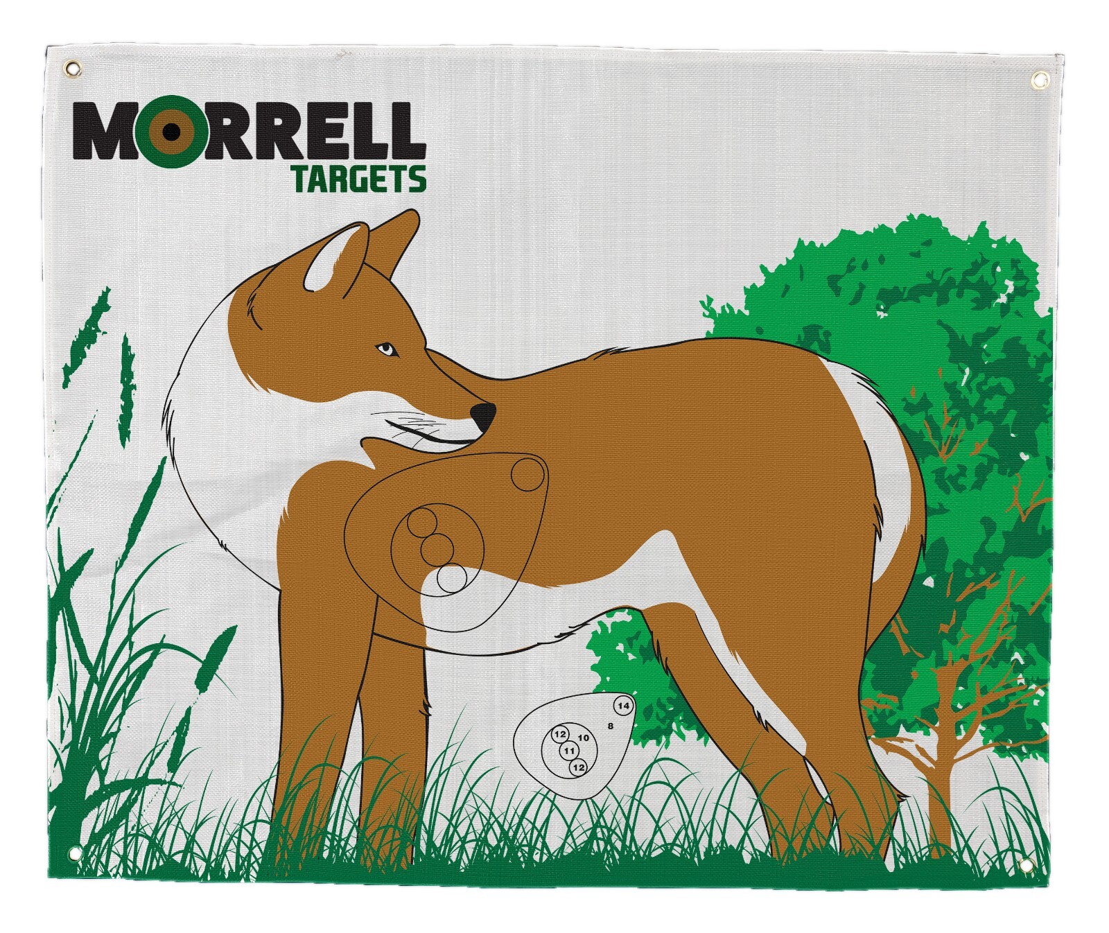 Morrell Coyote Polypropylene Target Face with Grommets and Self-Healing