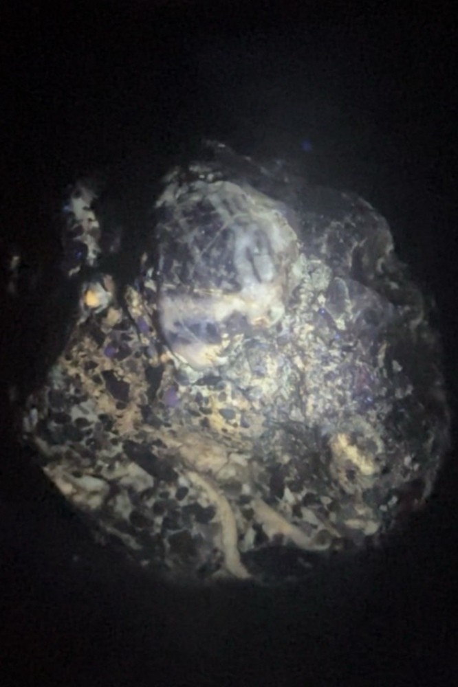 Multiwave UV 4(+) Colors Fluorescence & Phosphorescence Specimen From SB County