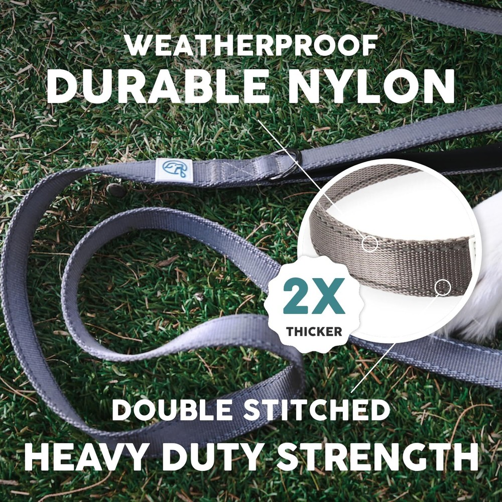 Neoprene Dog Leash - Explorer