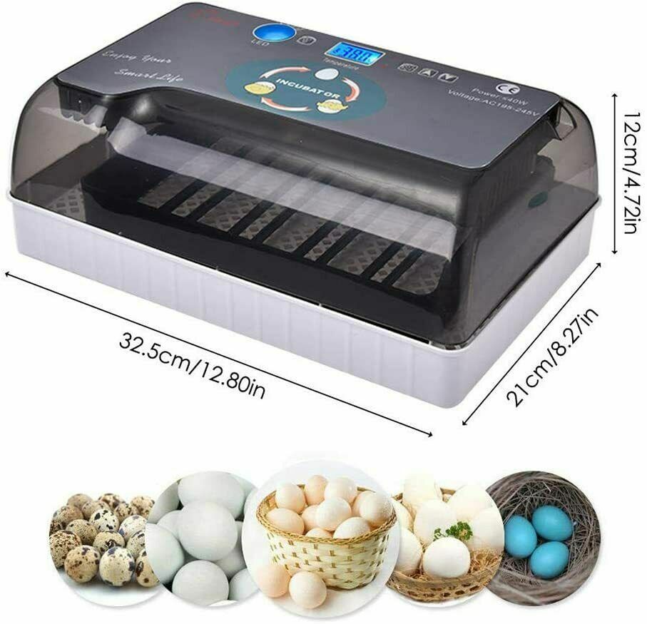 12 Egg Incubator for Hatching Eggs w/Automatic Egg Turning Temperature Control