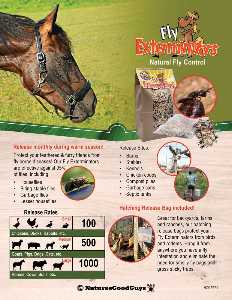 NaturesGoodGuys Fly Exterminators 2,000 Size