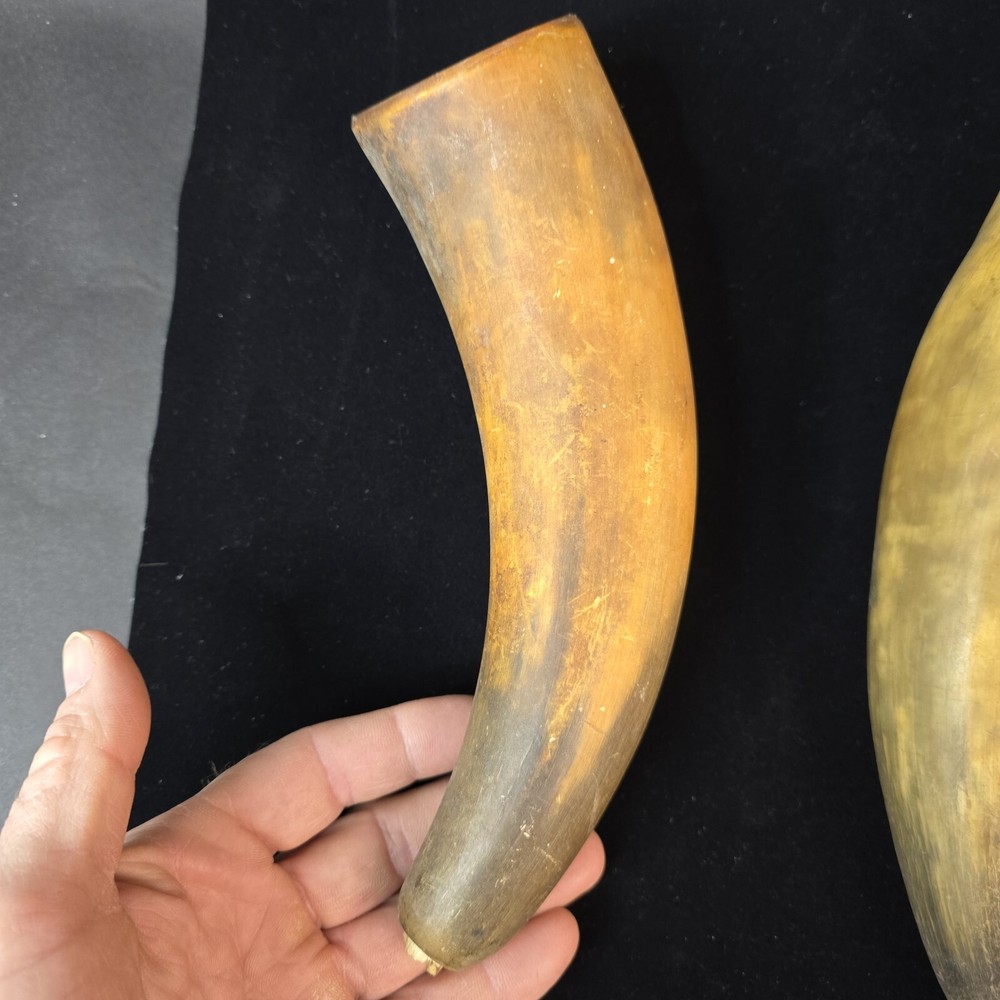 Antique Powder Horns