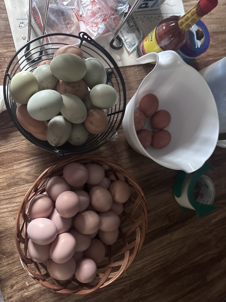 6+ Barnyard Mix Hatching