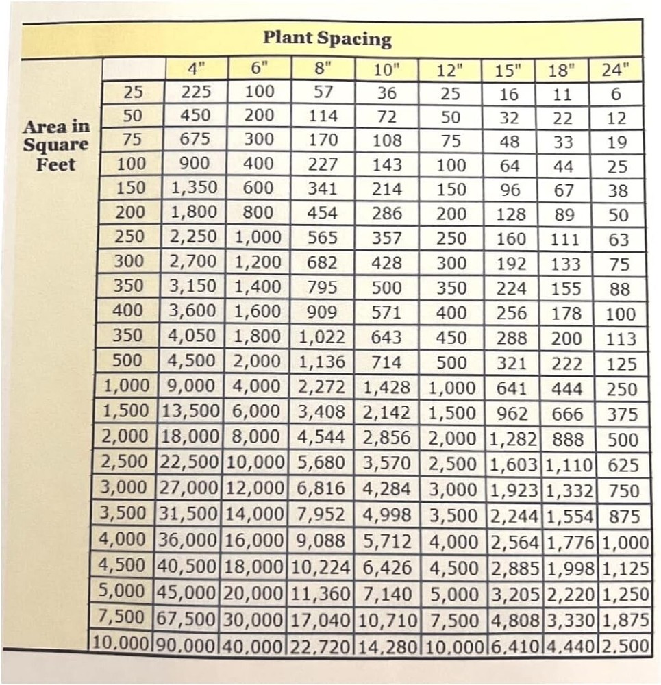 pachysandra terminalis 50 bare root plants