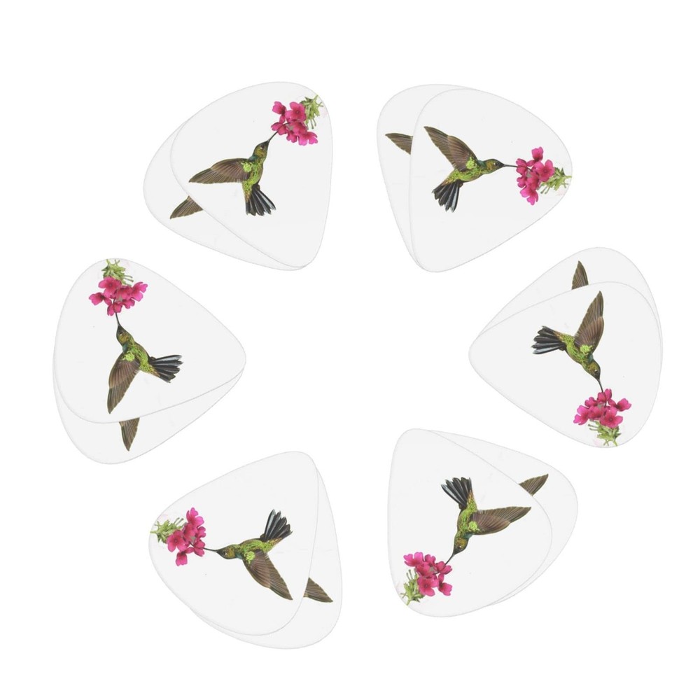 Hummingbird Spring Flower Guitar Picks One Size, 2