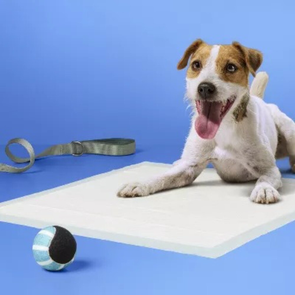 Dog Training Pads - L 25ct