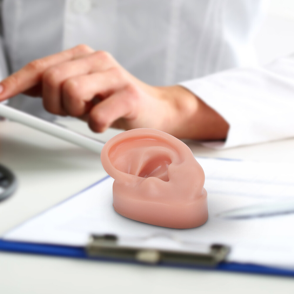 Simulation Human Ear Model ear model for teaching Ear Model Silicone Ears